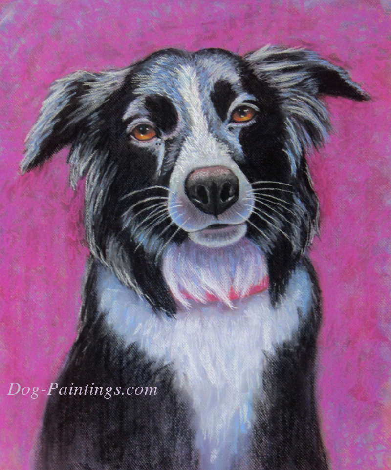 Picture of Border Collie Pastel painting