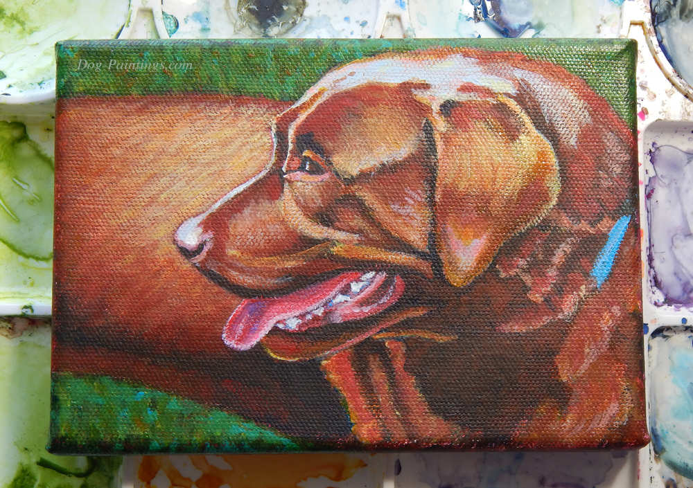 Chocolate Lab dog painting by Rachel M Brown