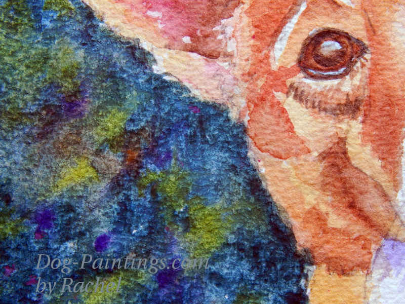 watercolor background curious corgi dog painting by Rachel M Brown