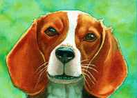 beagle artwork