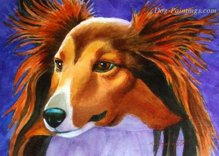 collie portrait