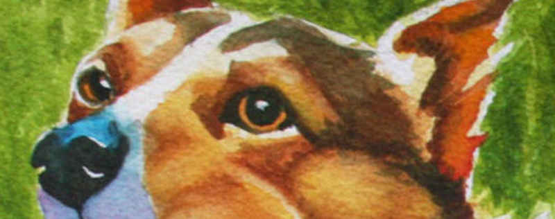 Cat Paintings Banner