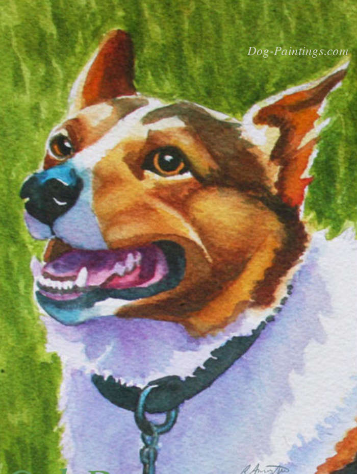 Corgi portrait