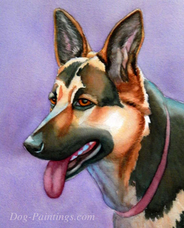 German Shepherd portrait