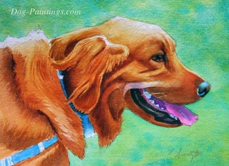 golden retriever portrait