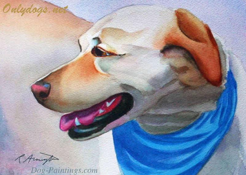 Portrait of Labrador Retriever