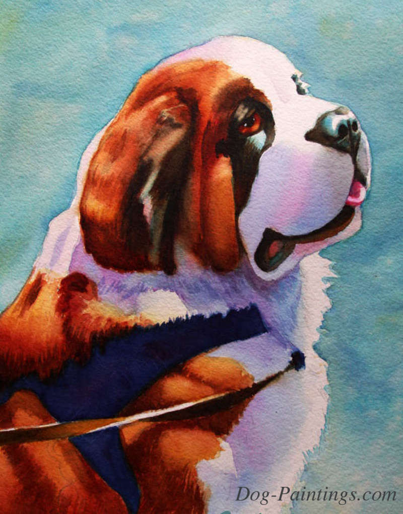 saint bernard portrait