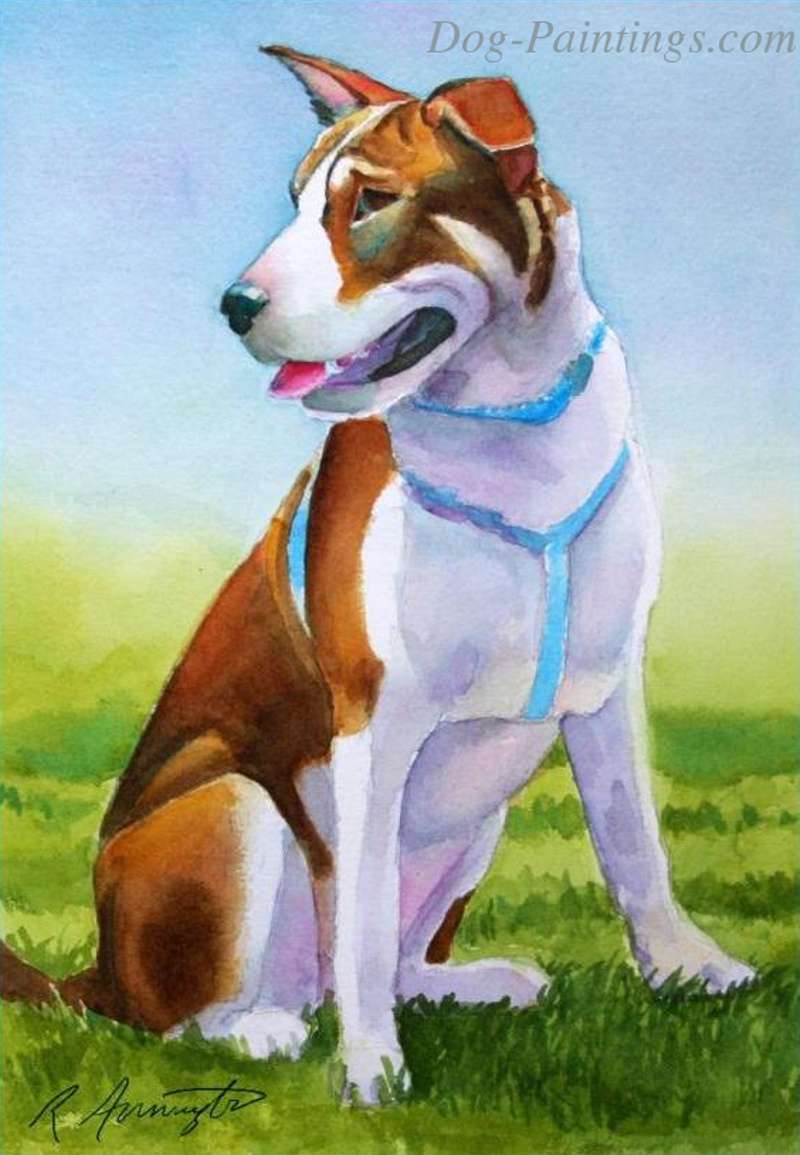 shar pei mix portrait