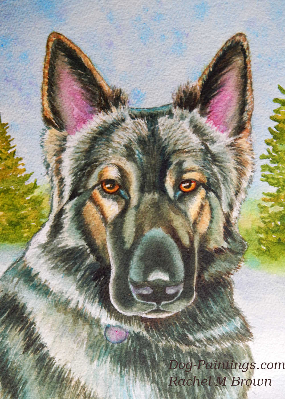 Shiloh shepherd dog painting by Rachel Brown