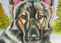 shiloh shepherd dog paintings com